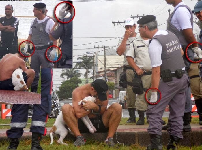 [cao-morto-itaparica2%255B3%255D.jpg]