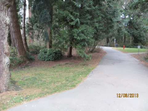 IMG_2183.jpg IMG 2183