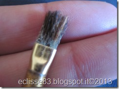 IMG_4245 IMG_4245