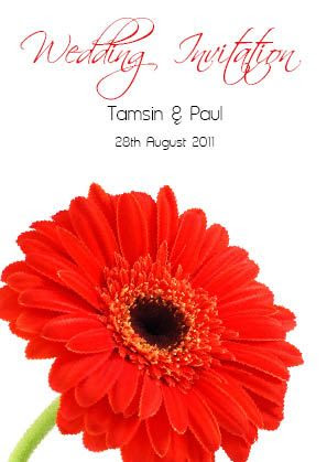 Red Gerbera 2 Folded Invitation