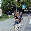 gruppe_straßenüberquerung_1.jpg