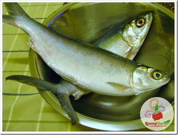 BANGUS © BUSOG! SARAP! 2010