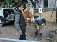 23102011636.jpg