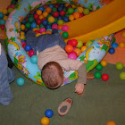 PICT0136.JPG