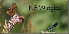 NF Winged f post 500d__1694