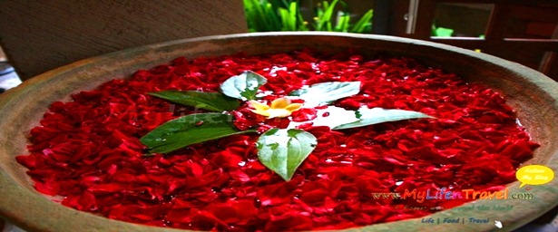 The Karma Spa 04 The Karma Spa 04