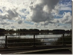 IMG_2342 IMG_2342