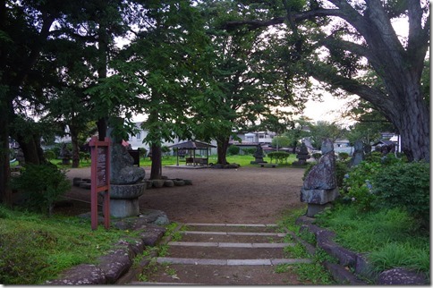 IMGP8158 IMGP8158