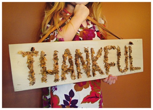 530_X_DSC04772_thankful 530_X_DSC04772_thankful