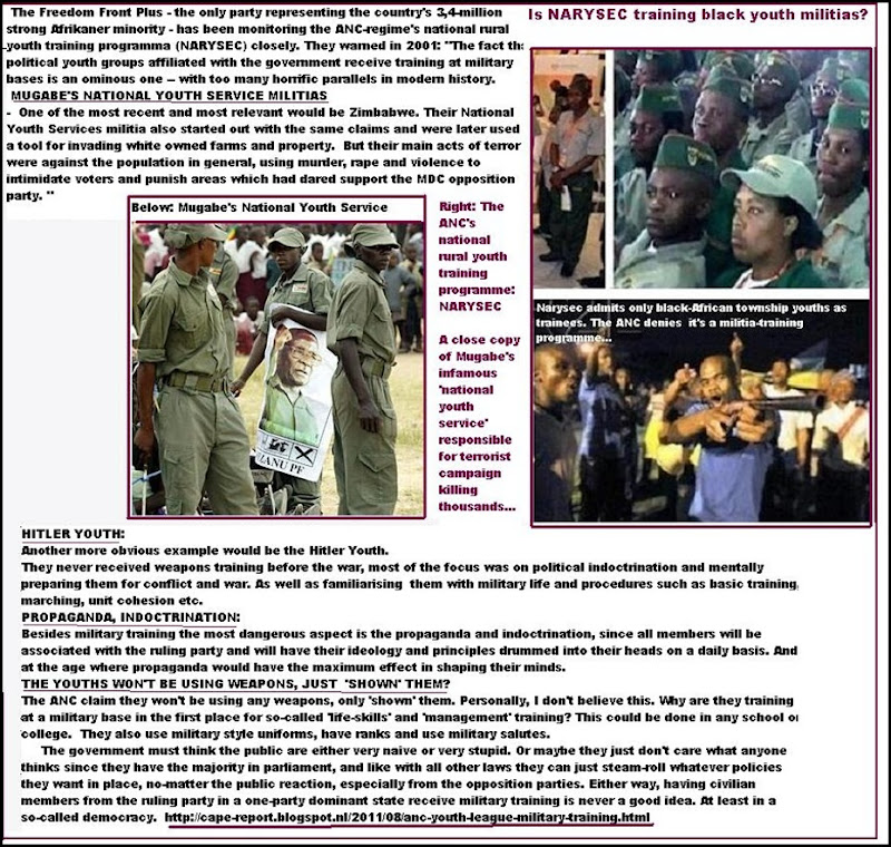 anc youth league history pdf