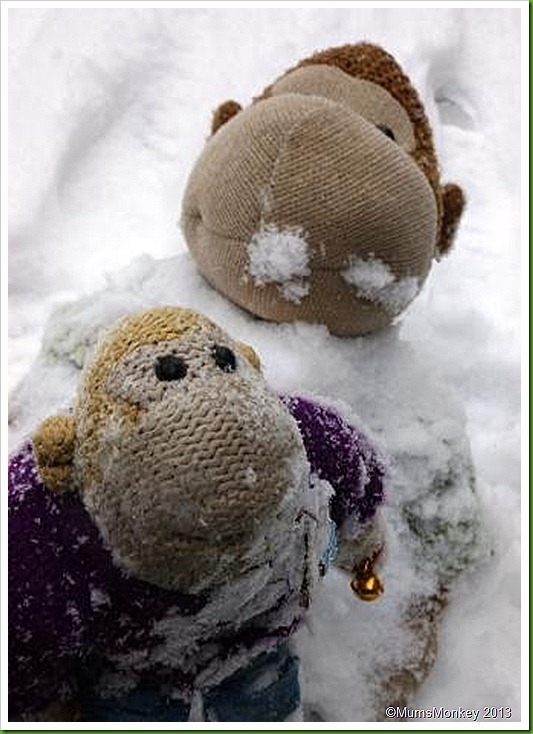 snowball fight snowball fight