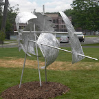 CIMG0964.JPG
