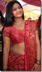Actress Poonam Bajwa Hot in Manthrikan Movie Stills