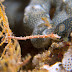 P7054771