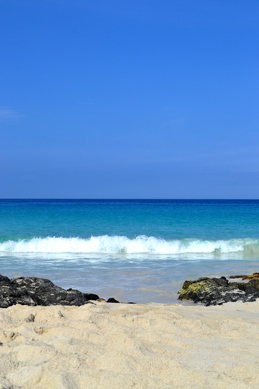 [DSC_0461-1%255B7%255D.jpg]