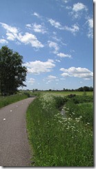 IMG_3874 IMG_3874