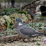 IMG_7178.JPG