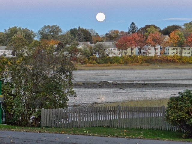 [2013%252010%2520354%255B2%255D.jpg]