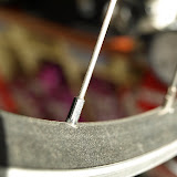 image4.jpg