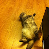 flip over