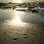 Shi-Shi Beach, WA 1