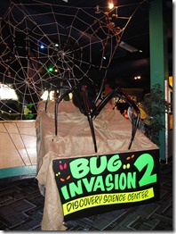 IMG_3952 IMG_3952