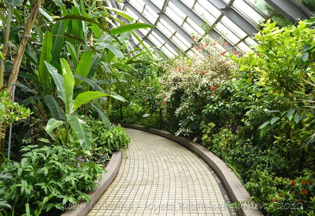 Gloria Ishizaka - Jardim Botanico de Kyoto 2012 - 18