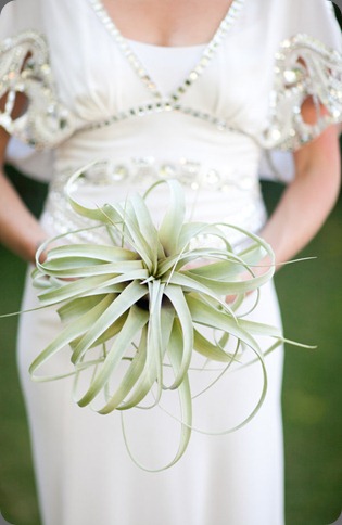 0185 arrangements and mi belle photography