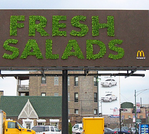 [fresh-salad-ad%255B4%255D.jpg]