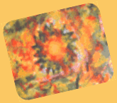 miniBILD1 miniBILD1
