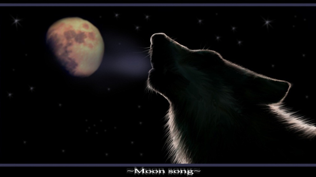 [Moon_Song_Wolf13.jpg]