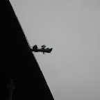 IMG_3326.JPG