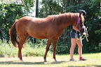 Isadora och Julia i trädgården juli 2010