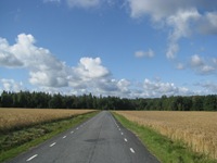 IMG_7708 IMG_7708