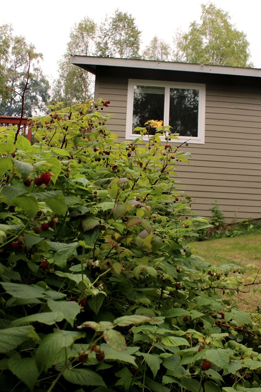 [birthday_8%255B3%255D.jpg]