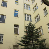 IMG_6765.JPG