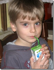 obraz 032