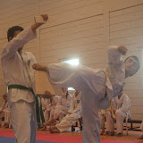 IMG_6419.jpg