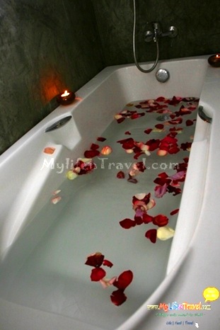 Sanora Spa 106 Sanora Spa 106