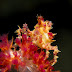 P7034448