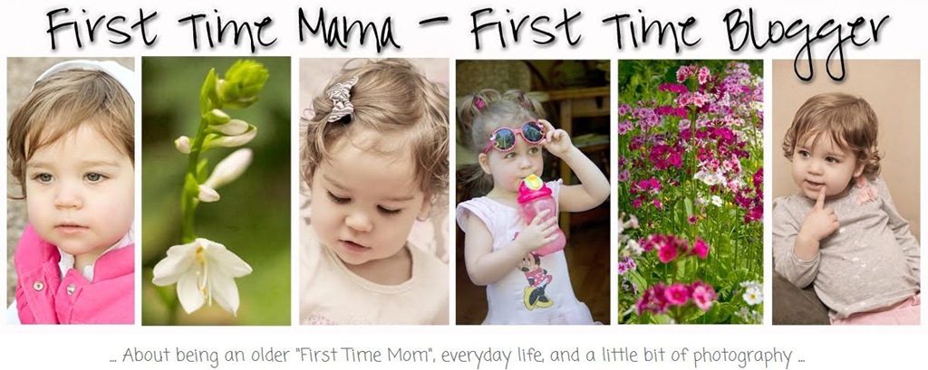 [First-Time-Mama-Blog-Header4.jpg]