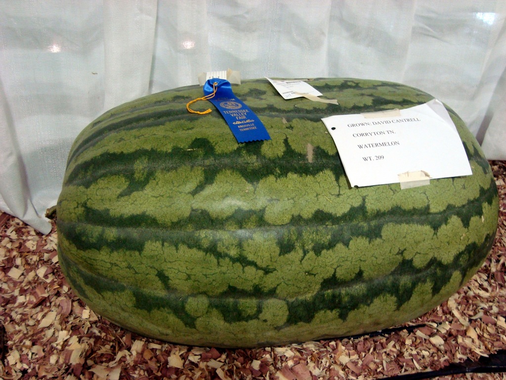 [DSC03091%255B5%255D.jpg]