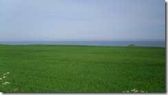 SDC12806 SDC12806