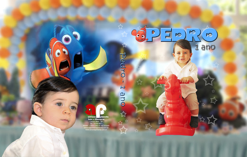 Fotos de Pedro - 1 ano. Foto numero . Fotografia (fotografias) de Adriana Pimenta Produções, que faz foto e vídeo de casamentos, aniversários e eventos em geral, bem como fotoprodutos, fotolivros e álbuns diagramados. Atua em São Paulo. fotos de casamento sao paulo sp para fotografia são fotografos casamentos festa infantil crianças aniversario fotoprodutos filmagem retrato social filmagens video em foto album