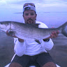 bonefish_06_06_07.jpg bonefish_06_06_07.jpg
