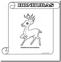 VENADO 1 VENADO 1