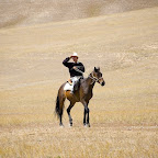 20080824-DSC_8777.jpg
