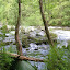 DSCN5687.JPG