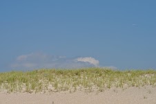 DSC_0487.JPG