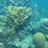 IMG_0599.JPG